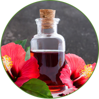 Hibiscus-Oil