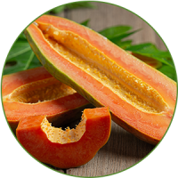 Papaya-2